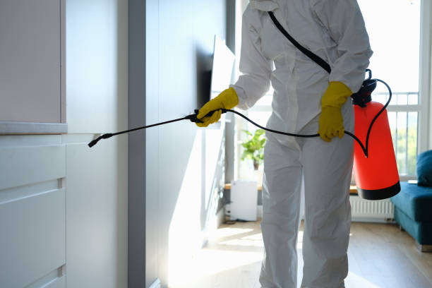 Mold Testing and Removal in Lipscom, AL