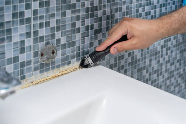 Best Mold Inspection  in Lipscom, AL