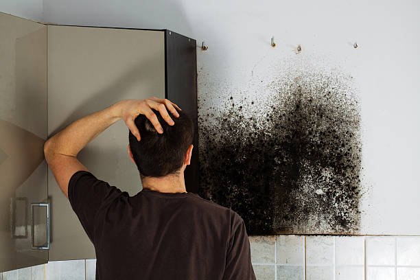 Home Mold Removal in Lipscom, AL